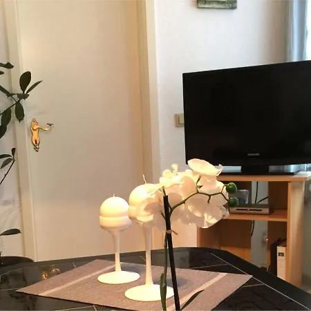 Luxurious In With Forest Nearby